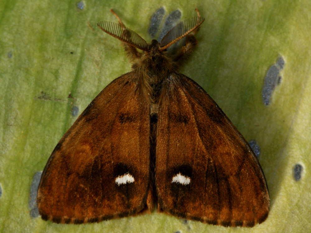 Bild Nr.10397 zum Vergrößern klicken Bild Nr.10397