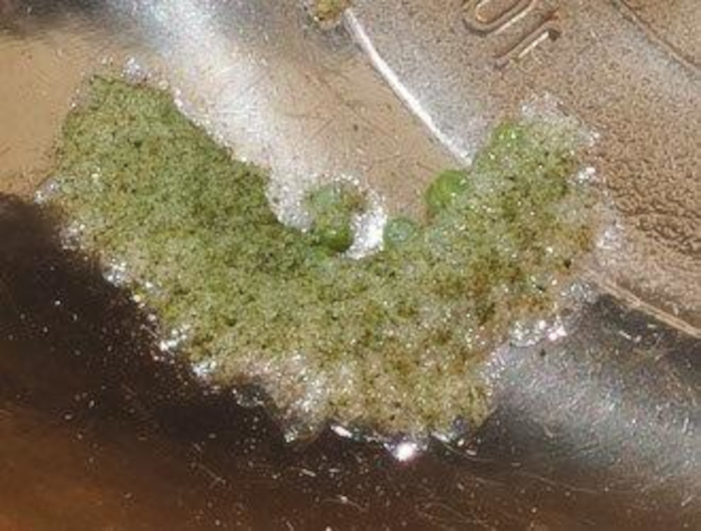 Bild Nr.10414 zum Vergrößern klicken Bild Nr.10414