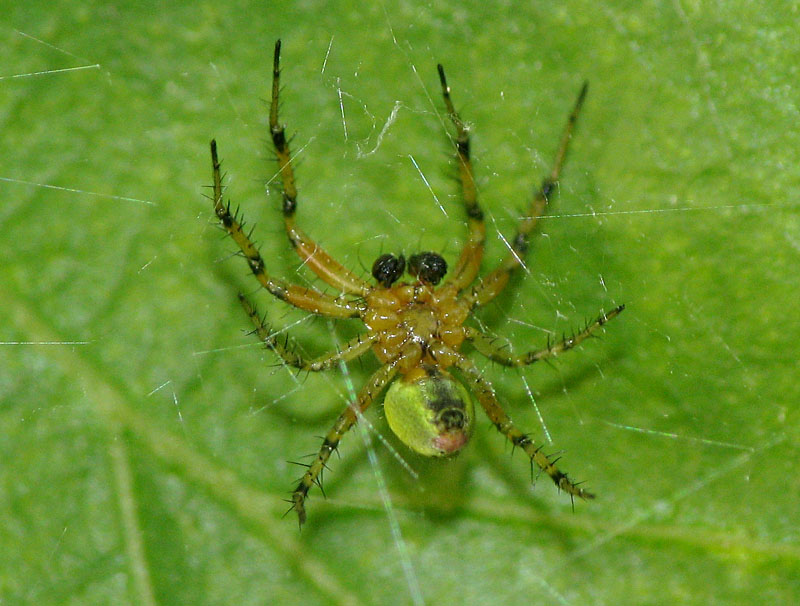 Bild Nr.00280 zum Vergrößern klicken Bild Nr.00280