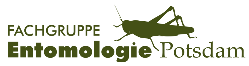 FG Entomologie Potsdam