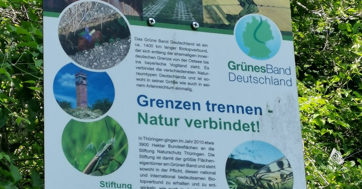 Orion-Bild